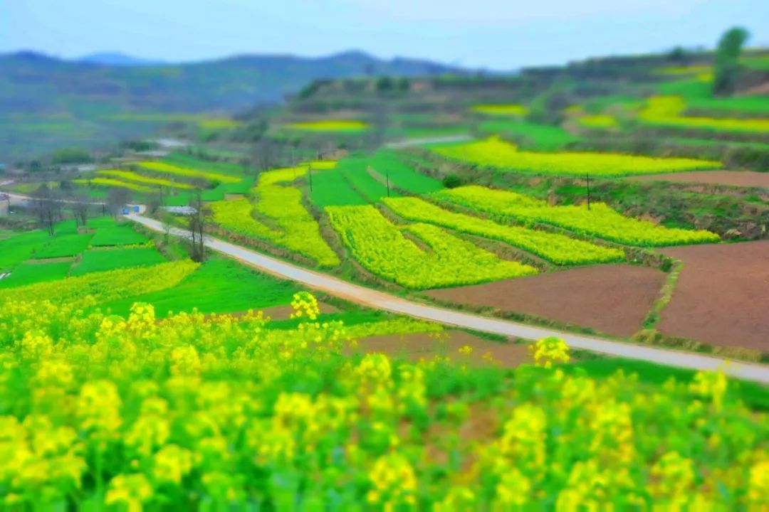 看懂甘肃地理，陇南的一个小河谷是如何影响大历史的