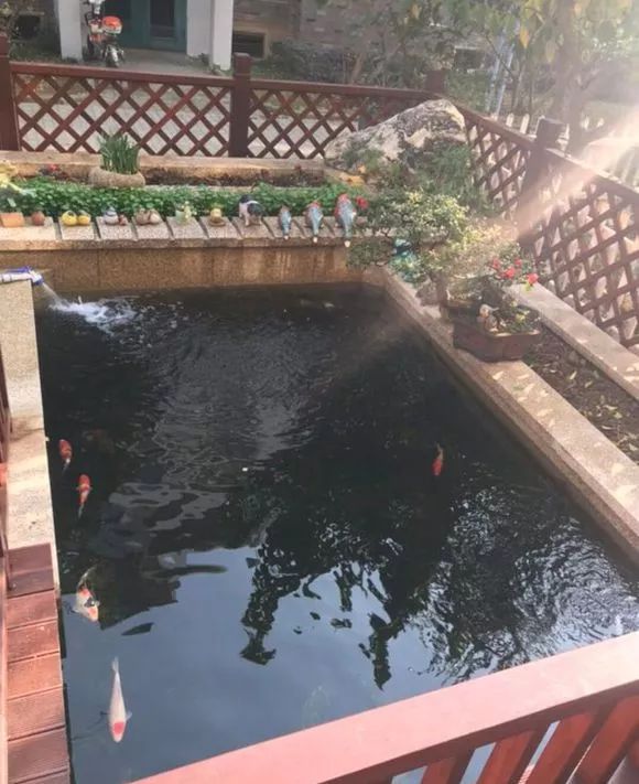 地面上鱼池自动排污过滤施工方法,鱼池过滤系统怎么实现自动排污的