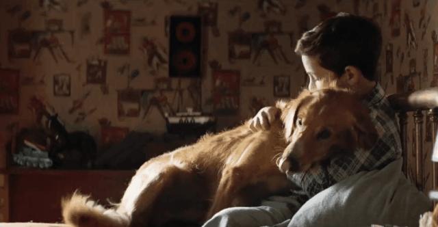 pocketmoney和change的区别,pocketmoney读后感悟