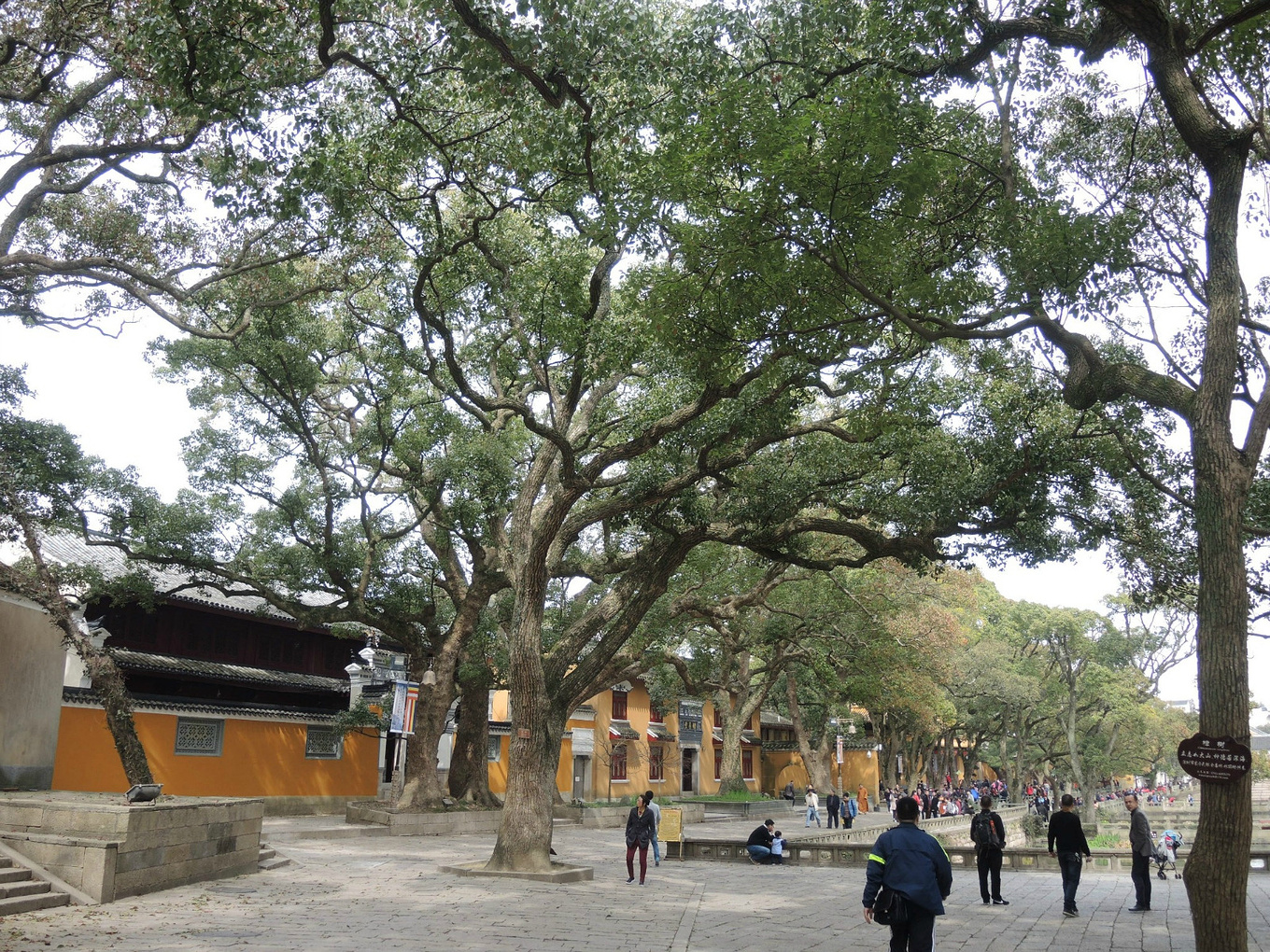 自助旅行普陀山,普陀山旅行