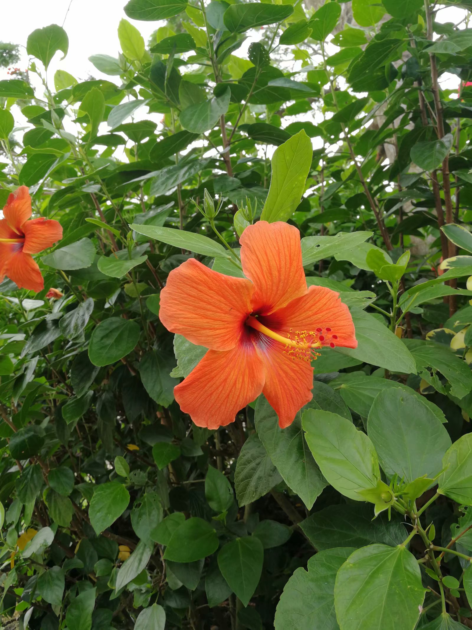 古琉球王国首都首里城遗址,探秘古村落