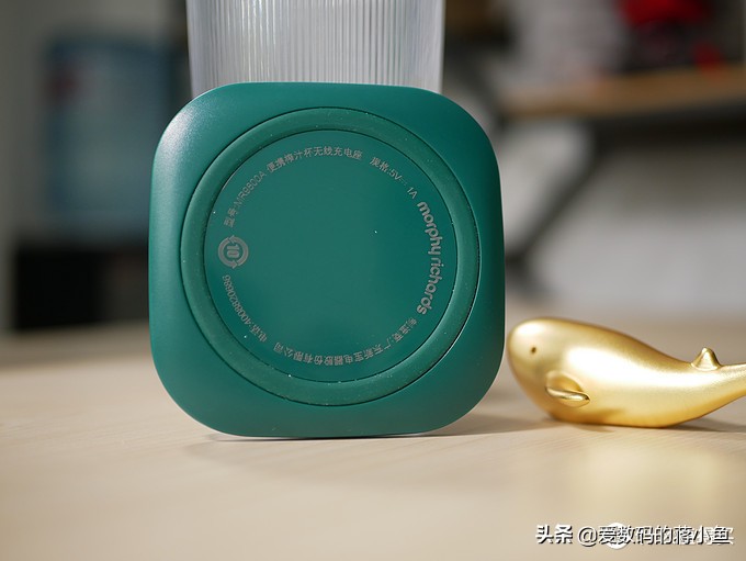 夏天来了做一下冰淇淋,摩飞榨汁机榨甘蔗