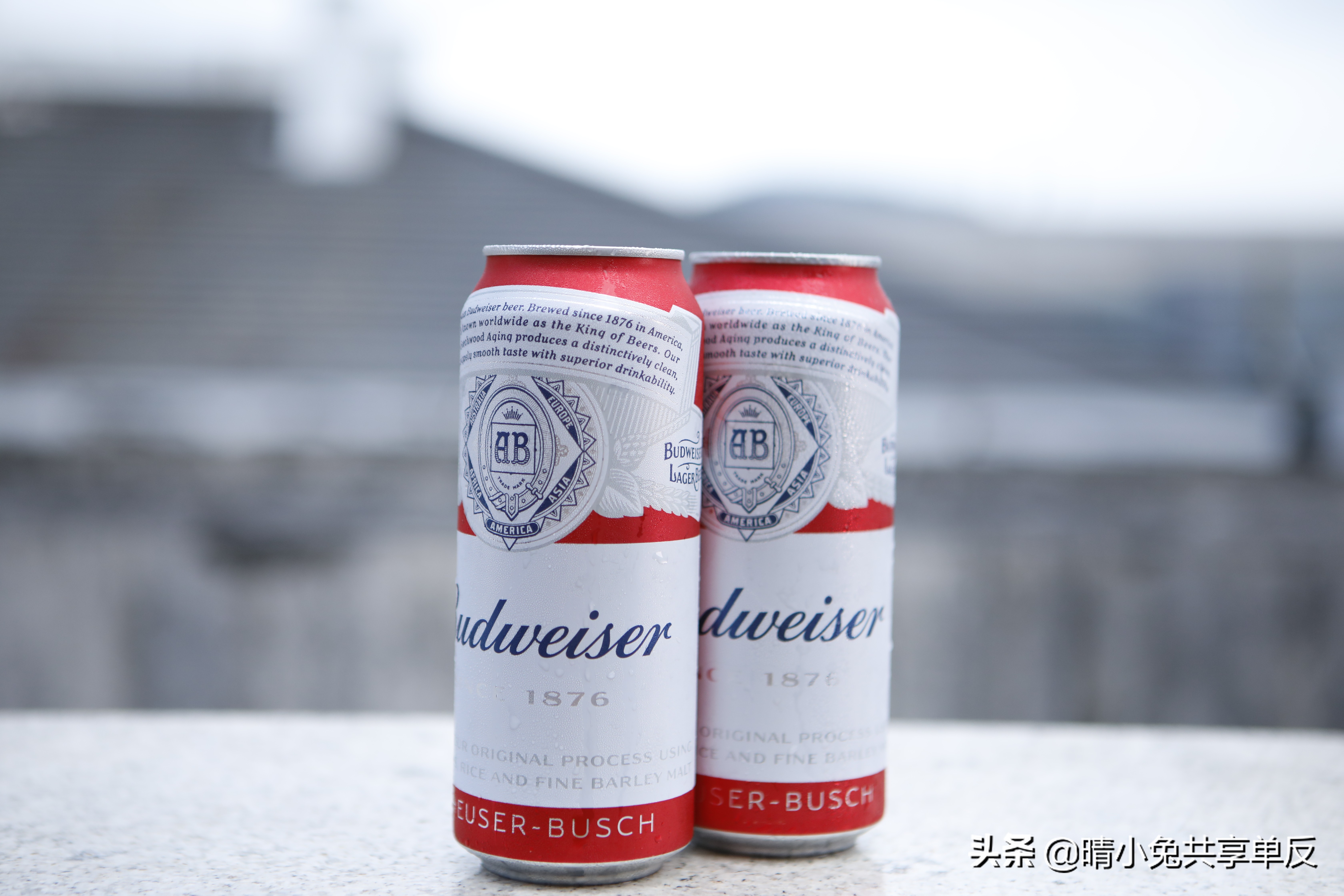 偏振镜是什么镜,偏振镜是什么符号