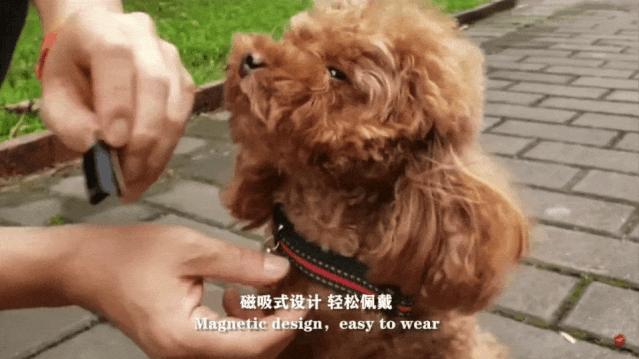 手机的全面屏摄像头,全面屏手机屏幕摄像头