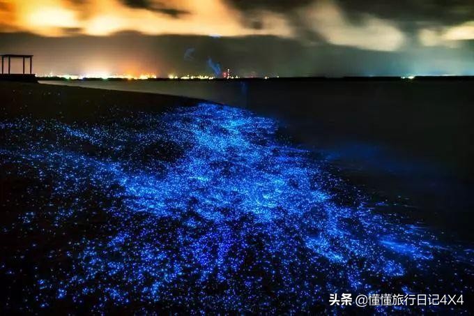 如果多一张船票你愿意跟我走吗,如果多一张船票你会跟我一起走吗