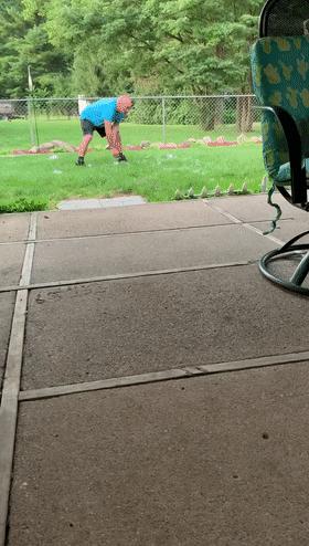 哈士奇的四大优点,哈士奇好养吗哈士奇能活多少年呢