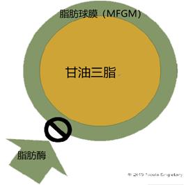 母乳有股怪味怎么办,母乳有馊味宝宝吃下去了