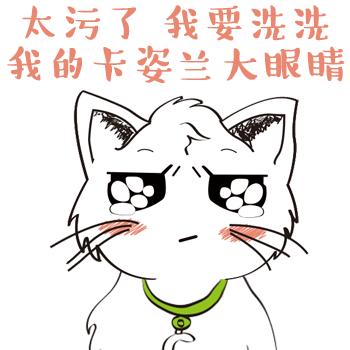 猫咪的迷惑行为历史版,可爱的猫咪黑历史