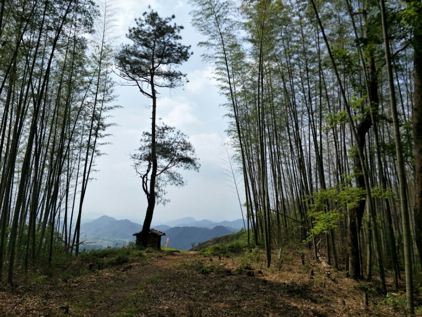 徒步，攀岩，入得山中便是仙