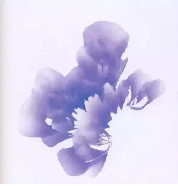 牡丹九大色系,九种牡丹调色法