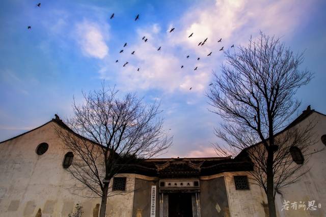 游走在沙家浜湿地公园,沙家浜风景区湿地渔乐园