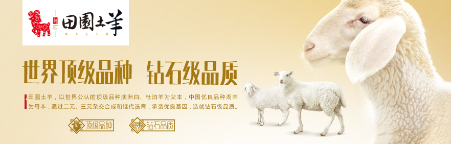 冲突品牌营销策划案例分析——鑫沃牧业