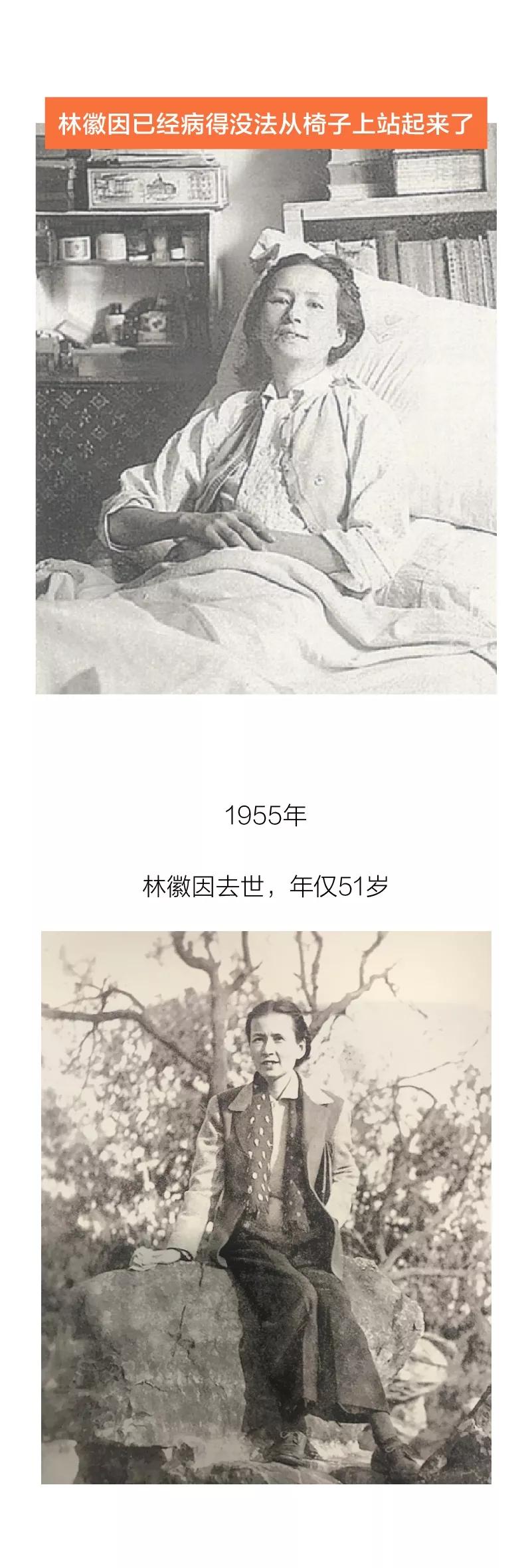 建筑系毕业的女生,建筑系的现状