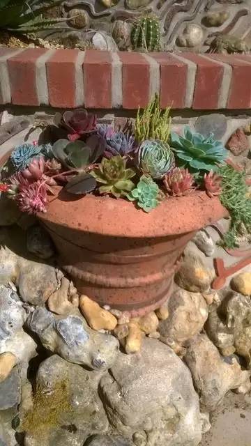 英国家庭花园建造,英国夫妇22年打造梦幻花园