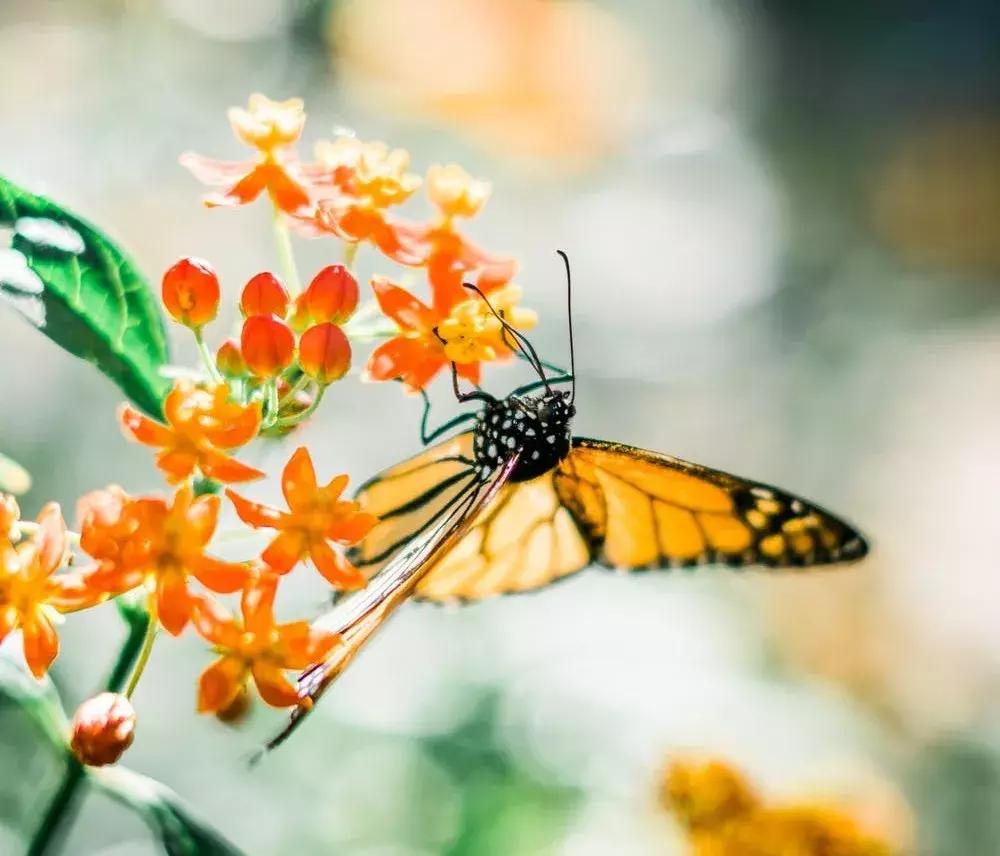宜宾不为往事扰只为余生笑,不为往事只为余生诗词
