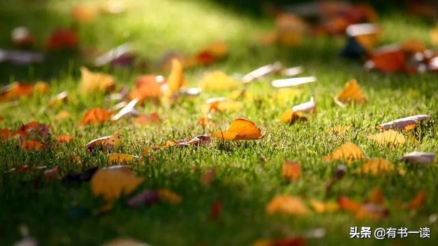 王小波最经典的100句话,最好的纪念就是再读一遍王小波