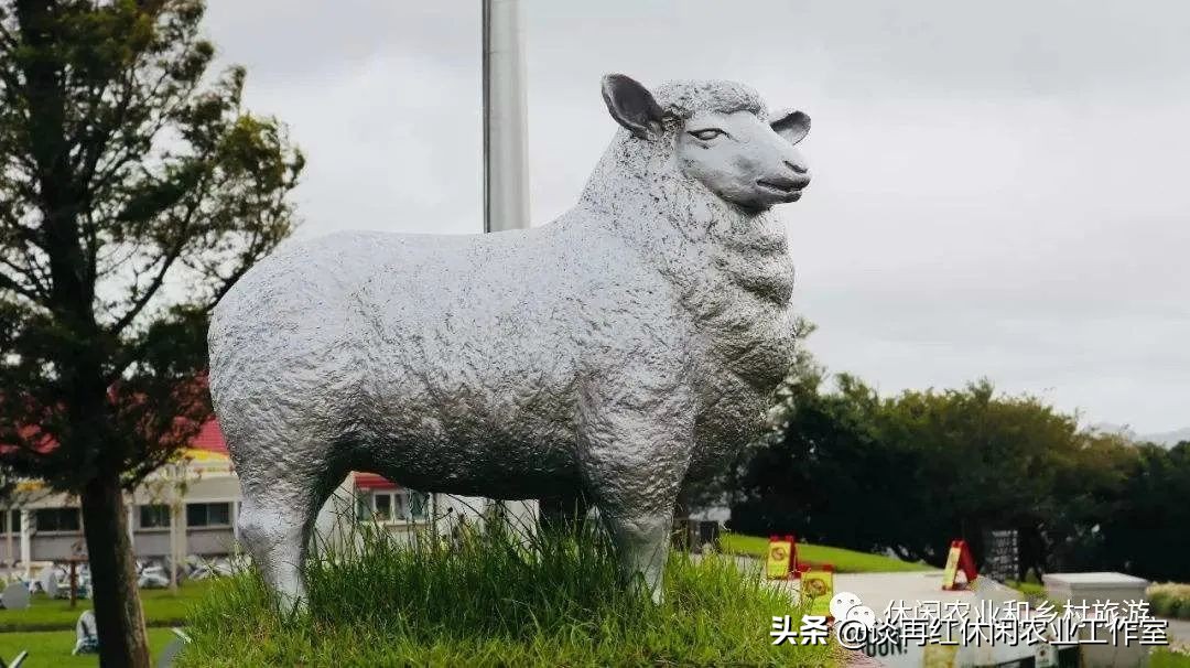 旅居新西兰,旅居新西兰有什么条件