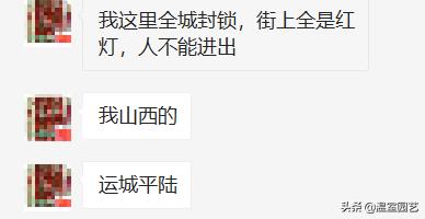 草莓滞销危机,草莓滞销卖不出去了吗