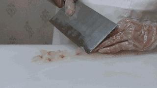 福建到广西高铁什么时候通车,福建能直达广西的高铁