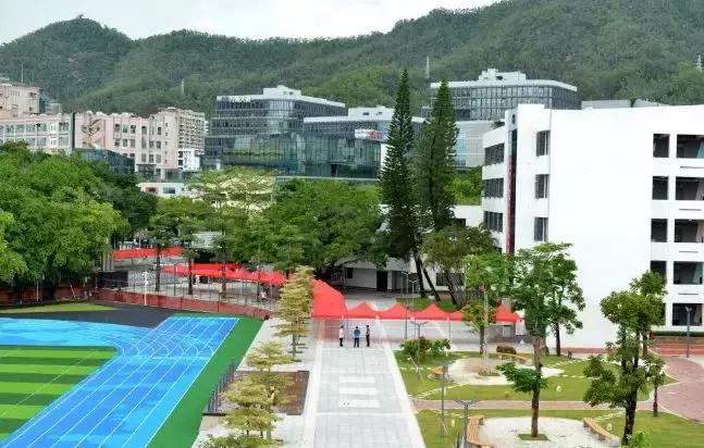 育才中学最后的冲刺,育才中学2019年小升初