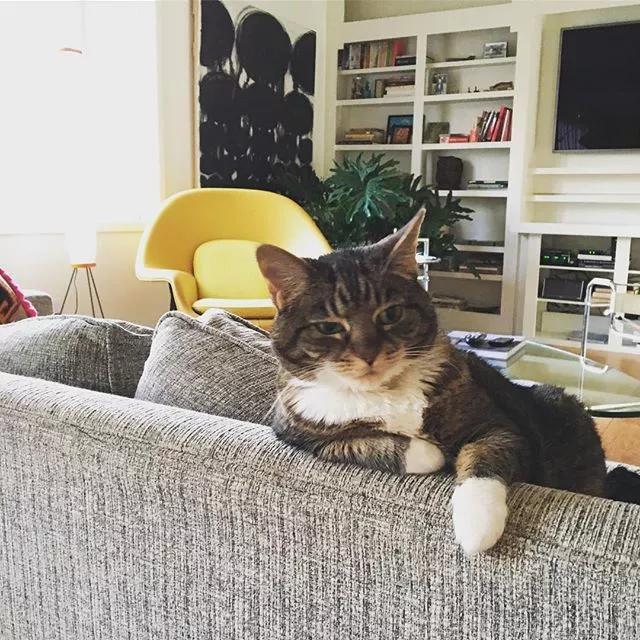 富人与穷人装修,给穷人装修和给有钱人装修