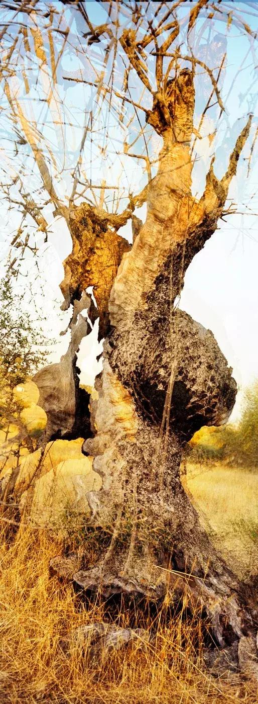 2023年中法文化之春亮点纷呈,2024中法文化之春开幕式视频