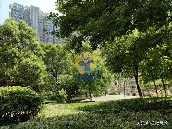 滨湖世纪城徽杰苑便宜,滨湖二手房急售哪家靠谱