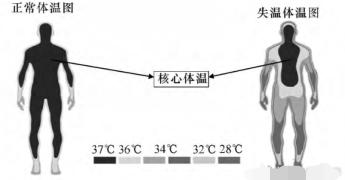 低温下的“微笑死亡”，面对突发的低温天气，我们该如何避免失温
