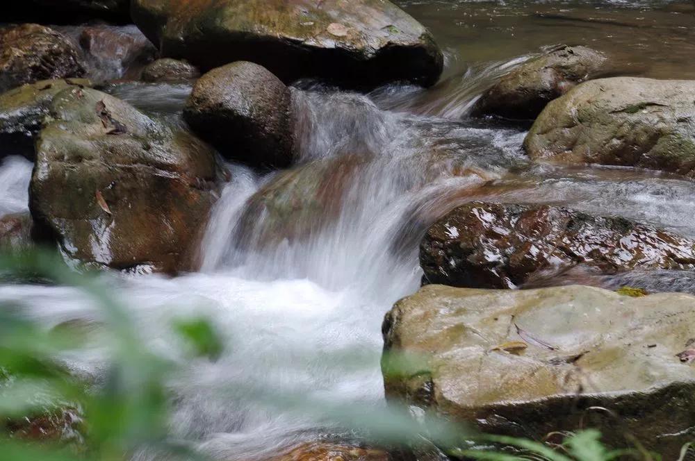 叶天士处方,叶天士的升阳益胃汤的处方