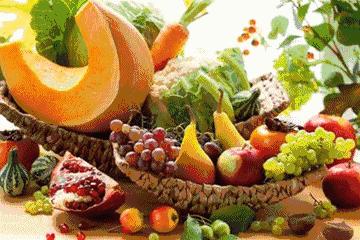 倩狐减肥视频,减肥倩狐