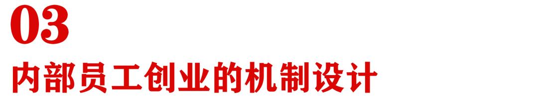 加盟项目的运营模式,公司与电商平台运营如何合作