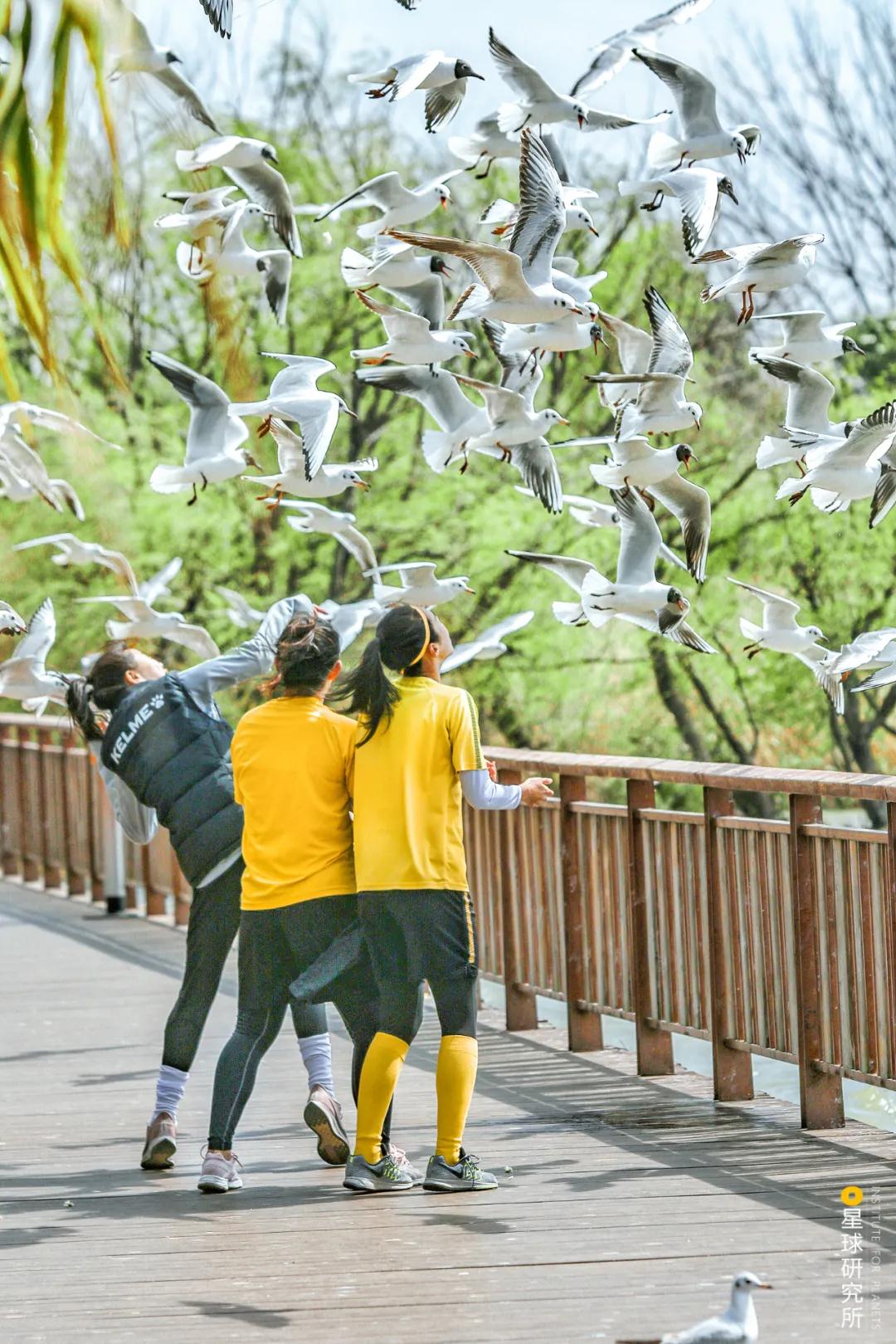 林草领域知识图谱,林草科普专业术语