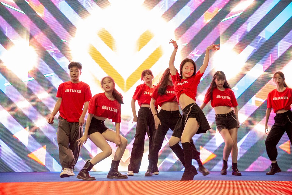 日本爱华企业,日本爱华公司产品