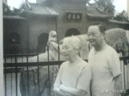 张可风是什么电视剧,张可风的作品