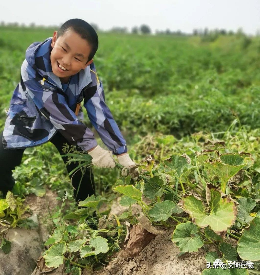石培昊和民勤的小学生,孝心少年石培昊的事迹