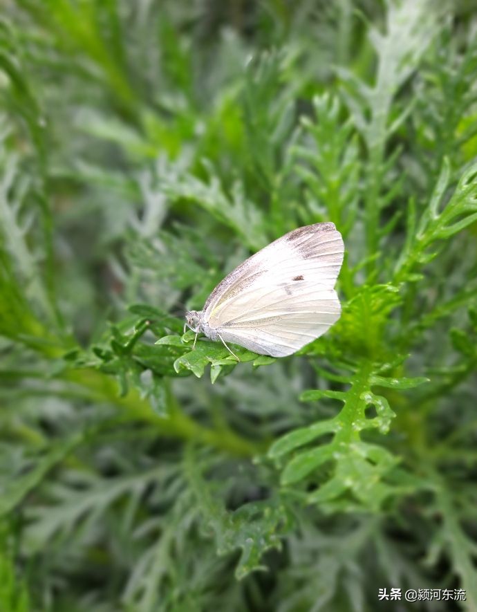 脸皮厚的挣大钱,挣大钱必须要心狠