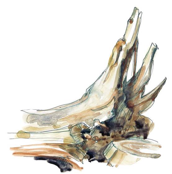 水彩绘画用的纸,水彩绘画用的画笔