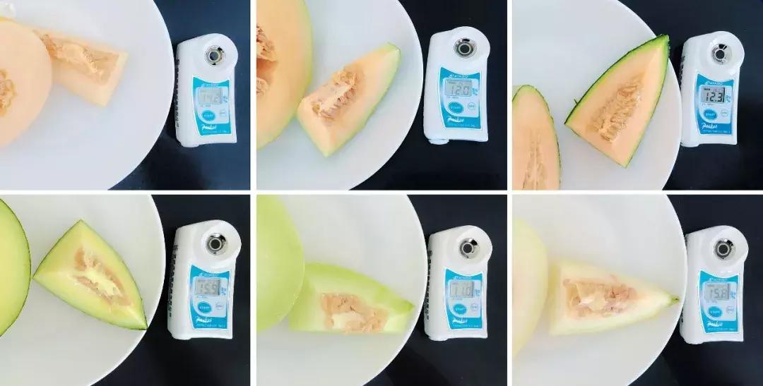 铚滅摐娴嬭瘎,铚滅摐瀵规瘮娴嬭瘎