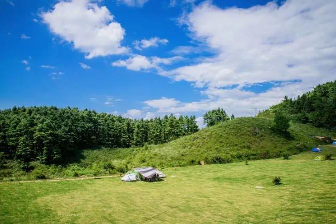 重庆铁山坪森林康养基地,重庆避暑康养基地