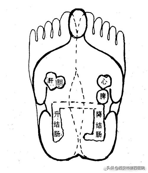 康复理疗师视频教程全集中文,康复理疗师手法培训视频
