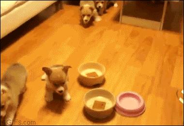 搞笑gif动图吸引人,不听话搞笑gif动图