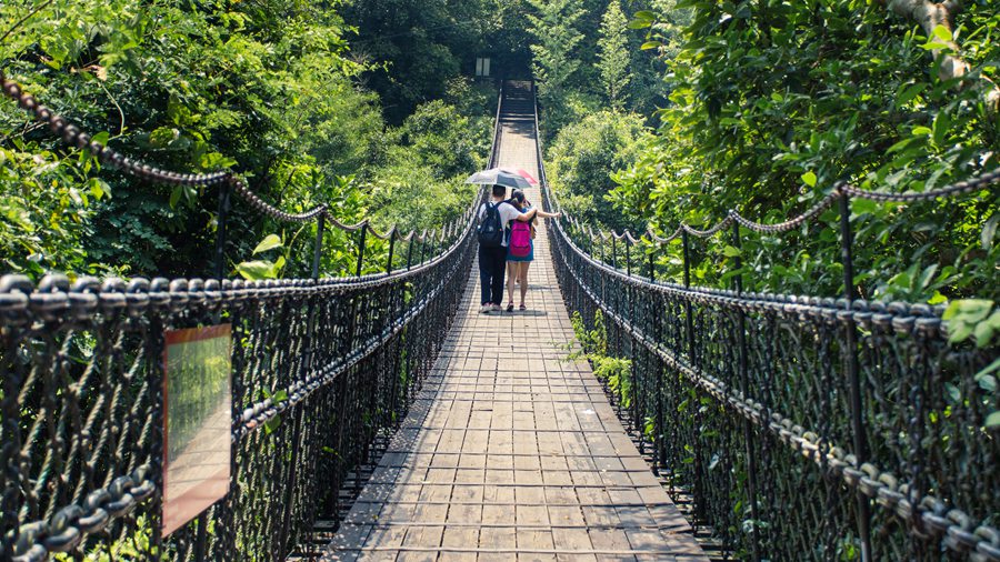 东部华侨城大峡谷瀑布门票特价,东部华侨城大侠谷瀑布