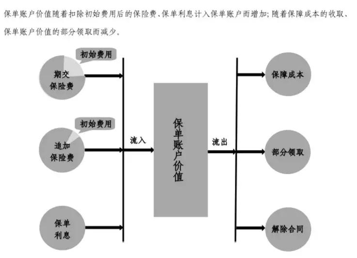 终身寿险和重疾险哪个手续费高,除了保险还有什么险
