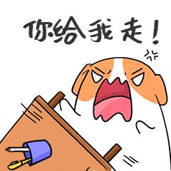 宫颈癌如何防止复发和转移,宫颈癌怎么防止复发转移