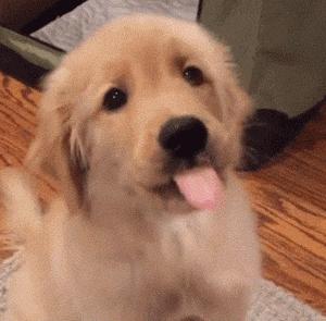 疫情中的替代性创伤,疫情替代性创伤