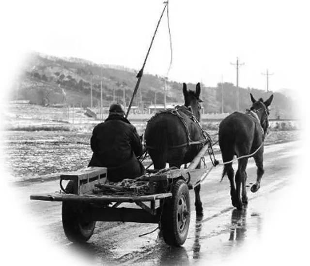 狼人杀极度恐惧,极度恐慌的人