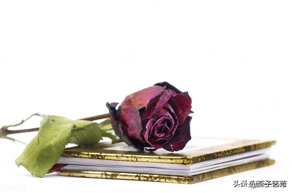 七绝诗情,七绝情诗100首