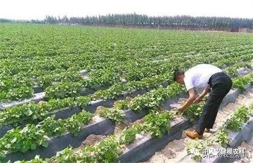 农村不起眼暴利小生意,藏在农村不起眼的暴利商机有哪些