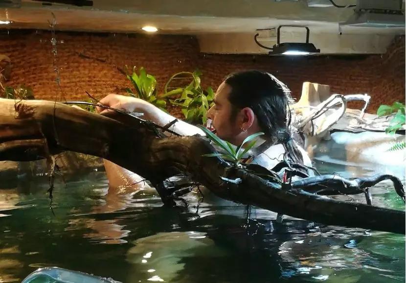 自己做大型水陆缸,在家自己打造一个沙漠缸