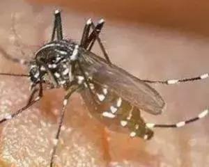 适合婴儿用的避蚊剂,宝宝防蚊喷雾成分